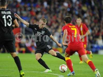 Wales V Republic of Ireland 140813