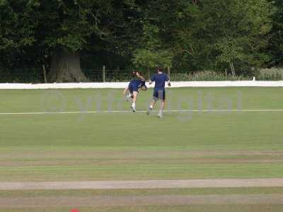 20120726 - cricket 260712 001.JPG