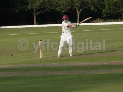 20120726 - cricket 260712 070.JPG