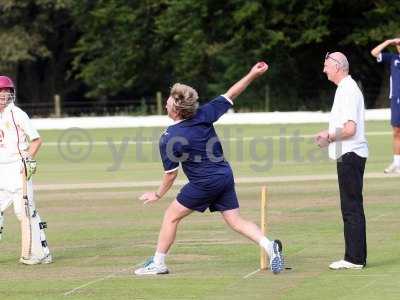 20120726 - cricket 260712 080   wdp.jpg