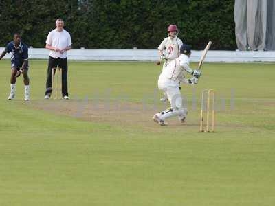 20120726 - cricket 260712 108.JPG