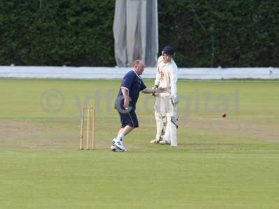 20120726 - cricket 260712 123.JPG