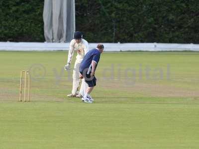 20120726 - cricket 260712 128.JPG