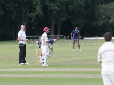 20120726 - cricket 260712 132.JPG