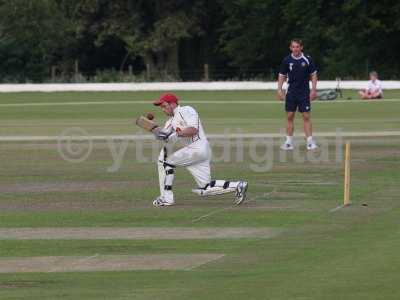 20120726 - cricket 260712 185.JPG