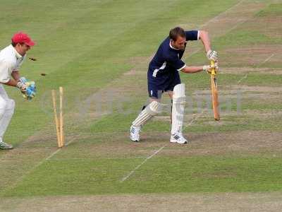 20120726 - cricket 260712 200  wdp.jpg