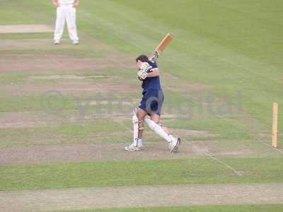 20120726 - cricket 260712 221.JPG