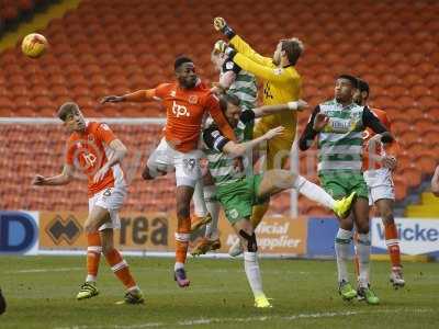 Blackpool v Yeovil  210117