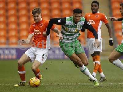 Blackpool v Yeovil  210117