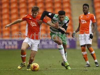 Blackpool v Yeovil  210117