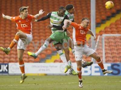 Blackpool v Yeovil  210117