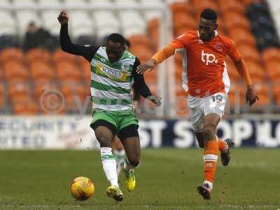 Blackpool v Yeovil  210117