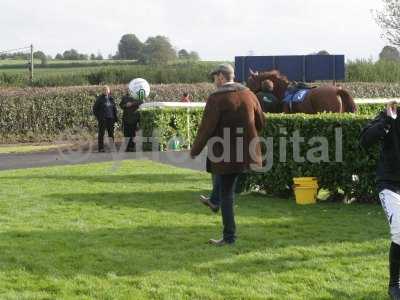 20121018 - wincanton racing 186.JPG