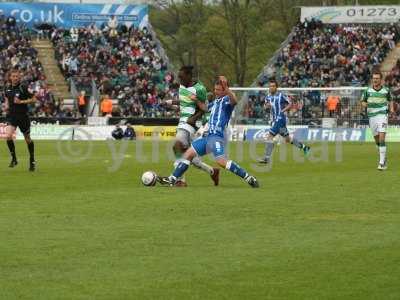 20100508 - brighton 2 away 193.JPG