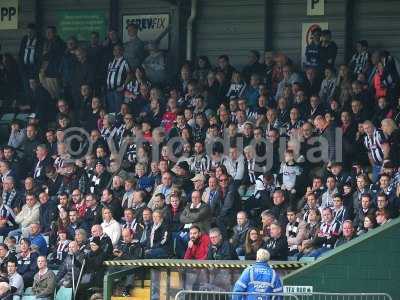 Yeovil Town v Grimsby Town 291016