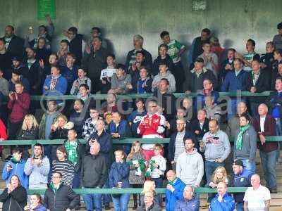 Yeovil Town v Wycombe Wanderers 081016