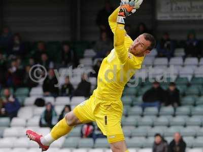 Yeovil Town v Exeter City 090416