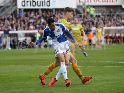 Bristol Rovers 160416Away526.JPG