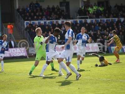 Bristol Rovers 160416Away956.JPG