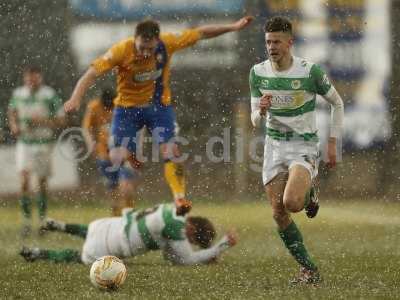 Mansfield v Yeovil  050316