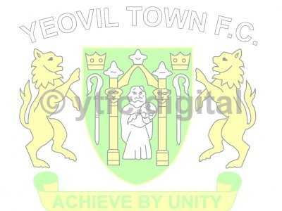 YTFC LOGO TRANS light.jpg