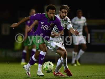 Yeovil Town v Bristol City 100315