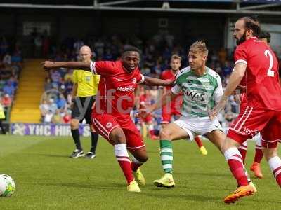 Yeovil v Cardiff 270714