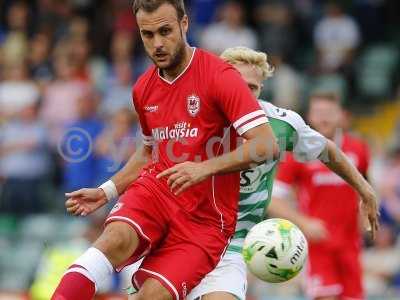 Yeovil v Cardiff 270714