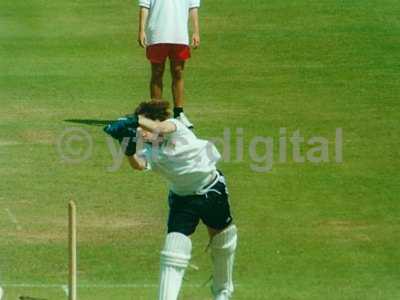 Cricket 010 copy 4