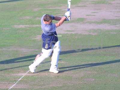 lindy batting