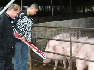 20050714 - Leon pigs 089.jpg